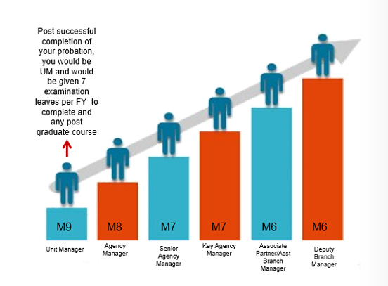 career growth